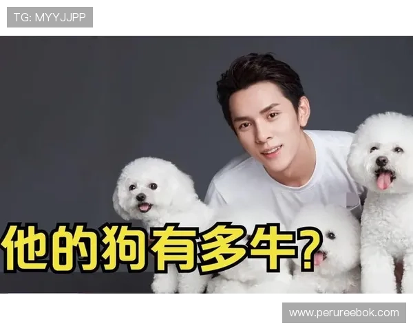 万狗体育下载官方渠道，安全稳定快速下载安装指南详解